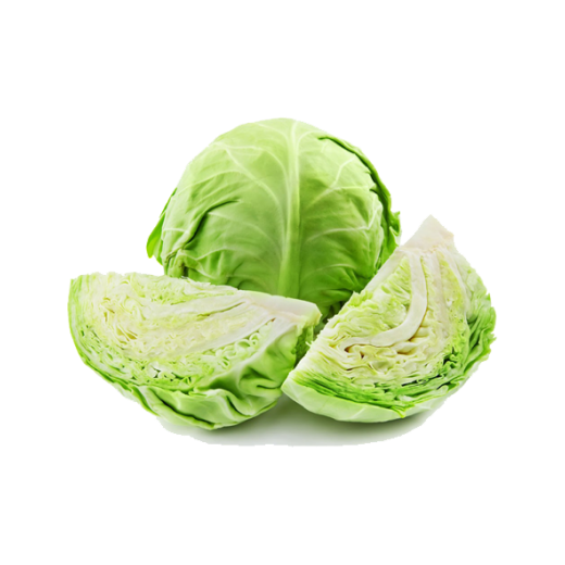 Cabbage